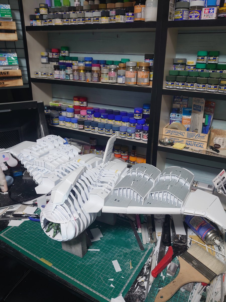 夏みかん🍊 tweet media