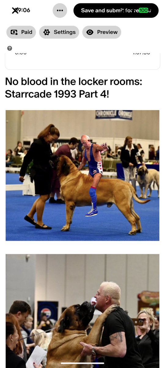 Wrestle Me tweet media