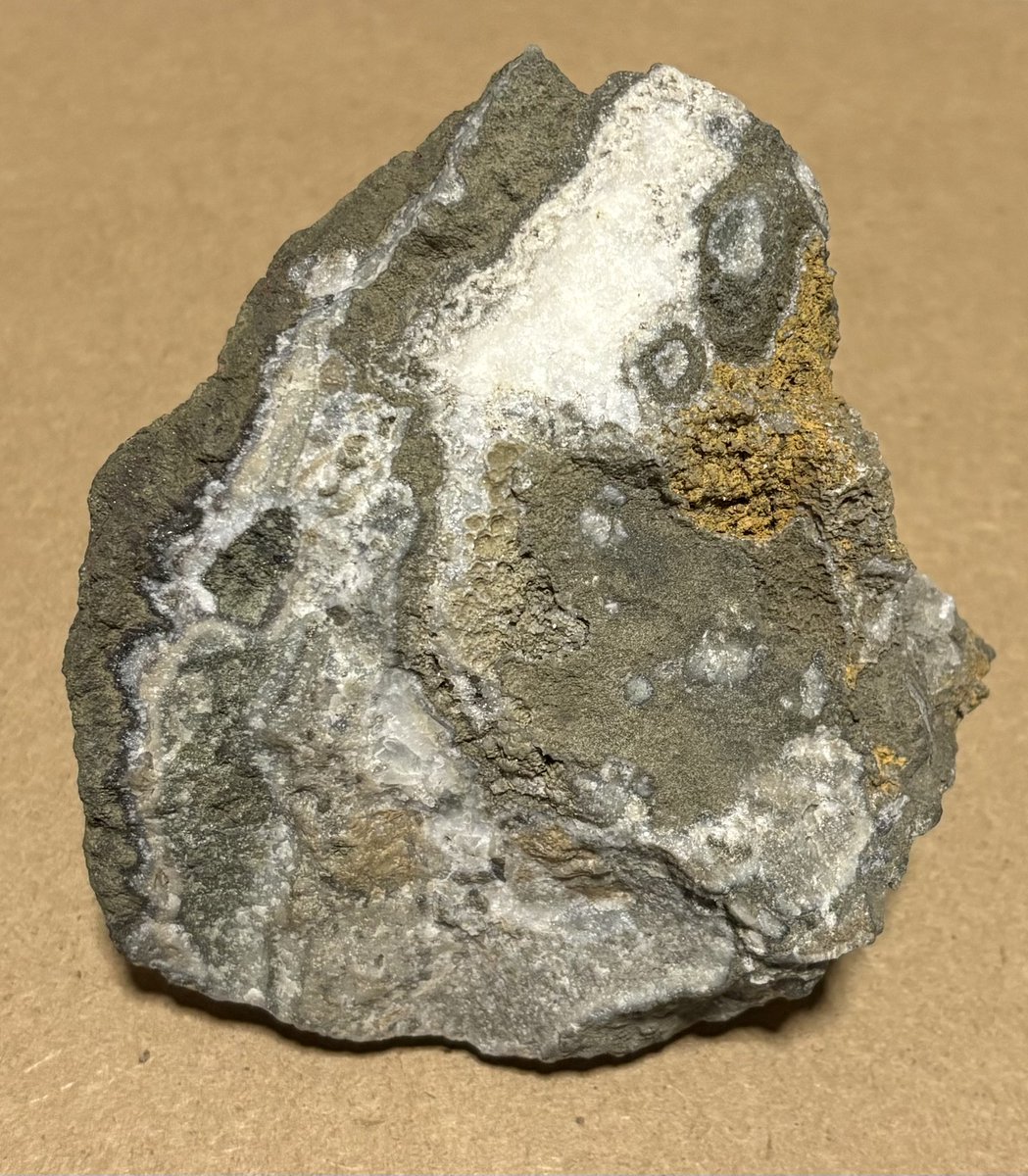 貴重！土肥金山の金鉱石入手✨ 土肥金山は600年の歴史を持つ伊豆最大の