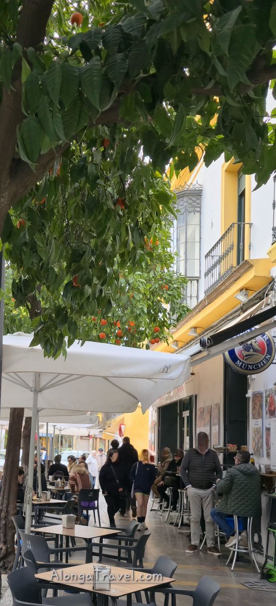 ✈️Alonga Travel 🌎🌞 tweet media