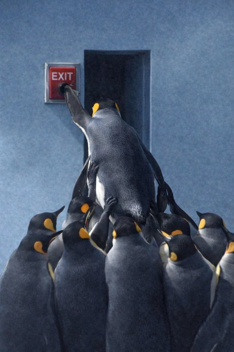 pushonpump's tweet image. We work together to push the exit