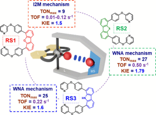 bhkenlo's tweet image. Secondary Coordination Sphere Effects in Macrocycle-Embedded Mononuclear Ru(bda) Water Oxidation Catalysts | Inorganic Chemistry pubs.acs.org/doi/10.1021/ac… Luber, Würthner and co-workers @InorgChem #ruthenium #bda #water_oxidation #catalysis