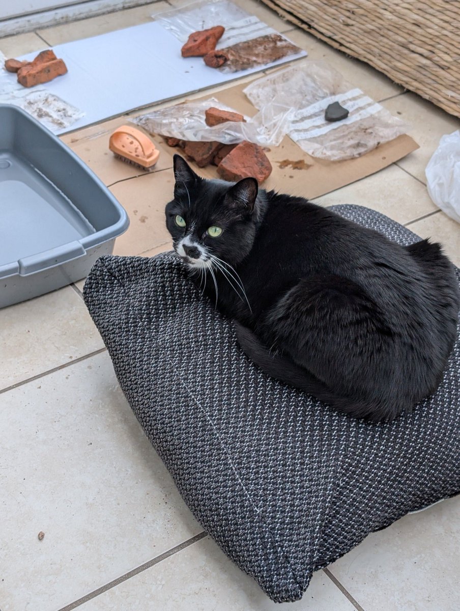 Heneb: The Trust for Welsh Archaeology tweet media