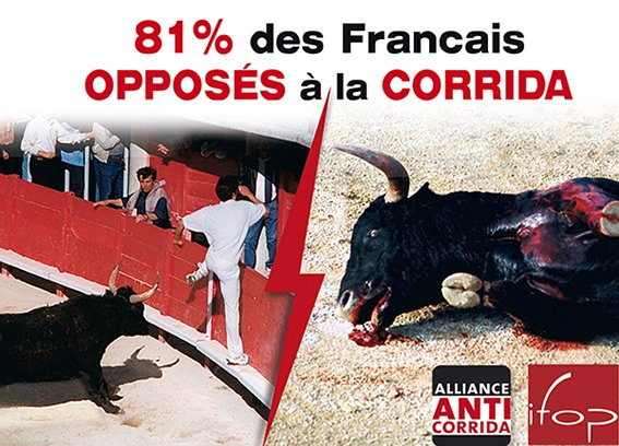 Alliance Anticorrida tweet media