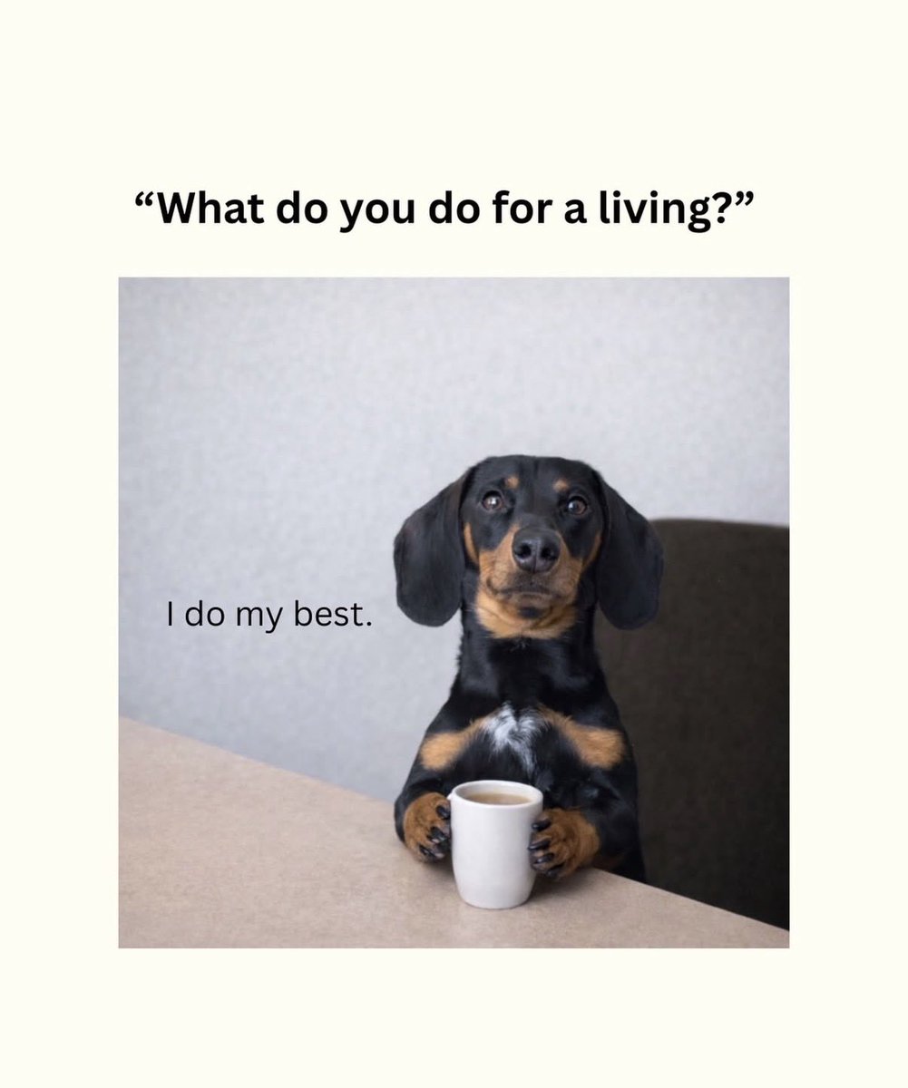 sajansachdeva tweet media