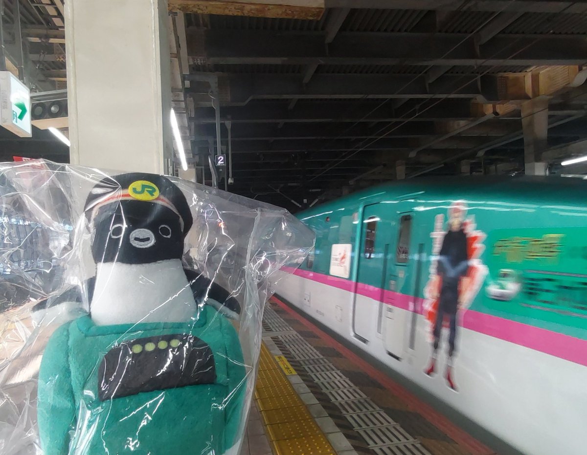 Suicaのペンギン新幹線はやぶさマスコットのお迎えご報告 （尚、写真の