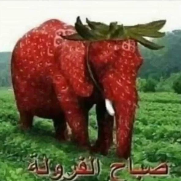 يا الله
البيك فيكشن من الصباح