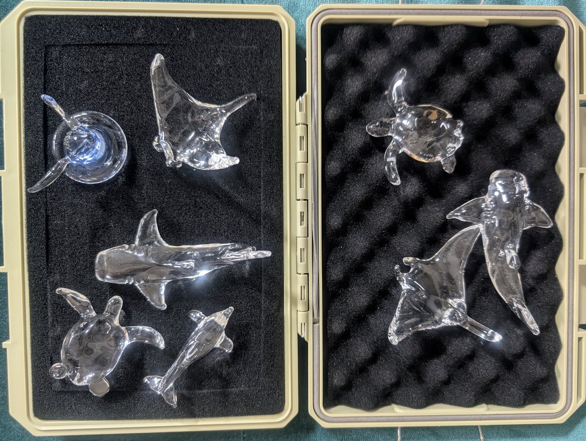 NORTHERNLIGHTS tweet media