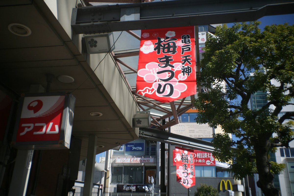 1000mi0's tweet photo. CANON EOS 5D + LOREO LENS IN A CAP
露出オーバーになるのでマイナス補正してます。
#亀戸 #江東区 #EOS #ＥＦマウント #LOREO https://t.co/l6SeL93mM8