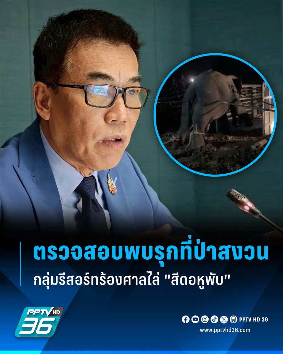 คนรักช้างเฮ! "สว. ชีวะภาพ" เผยผลสอบกลุ่มรีสอร์ทร้องศาลปกครองไล่ "สีดอหูพับ" พบรุกที่ป่าสงวน จนท. อุทยานฯ เตรียมรวบ เหตุใช้พื้นที่ผิดวัตถุประสงค์

อ่านต่อ: pptv36.news/1ObH

#สีดอหูพับ #ไล่สีดอหูพับ #ช้างล้ม #สีดอหูพับล้ม #สวชีวะภาพ #กลุ่มรีสอร์ท #ป่าสงวน #รุกที่ป่าสงวน