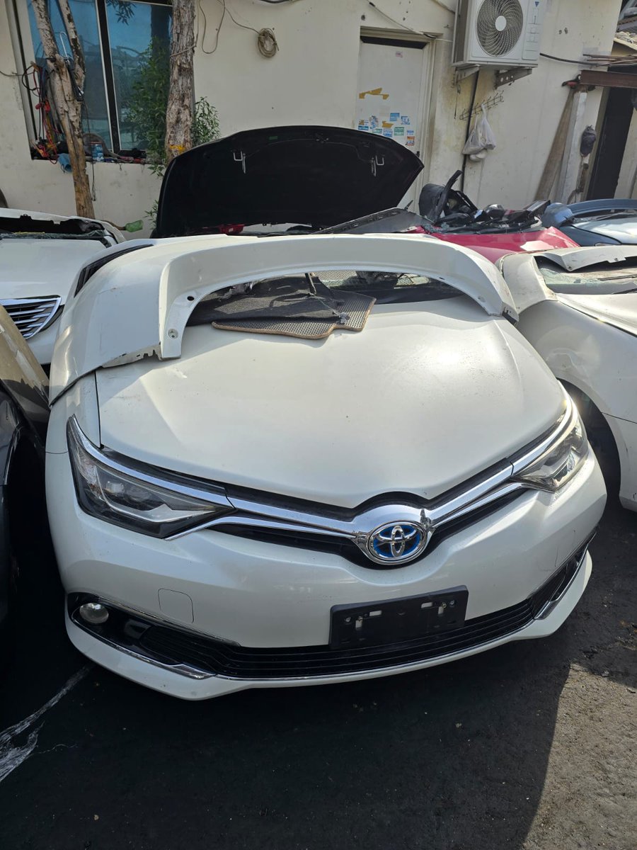 𝙉 𝙜 𝙤 𝙣 𝙞 𝙙 𝙯 𝙖 𝙨 𝙝 𝙚 tweet media