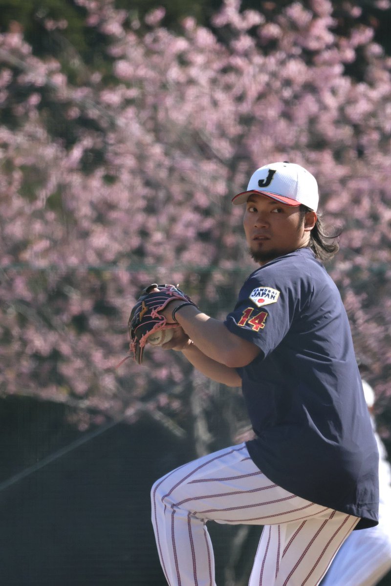 🌸🌸🌸 #伊藤大海