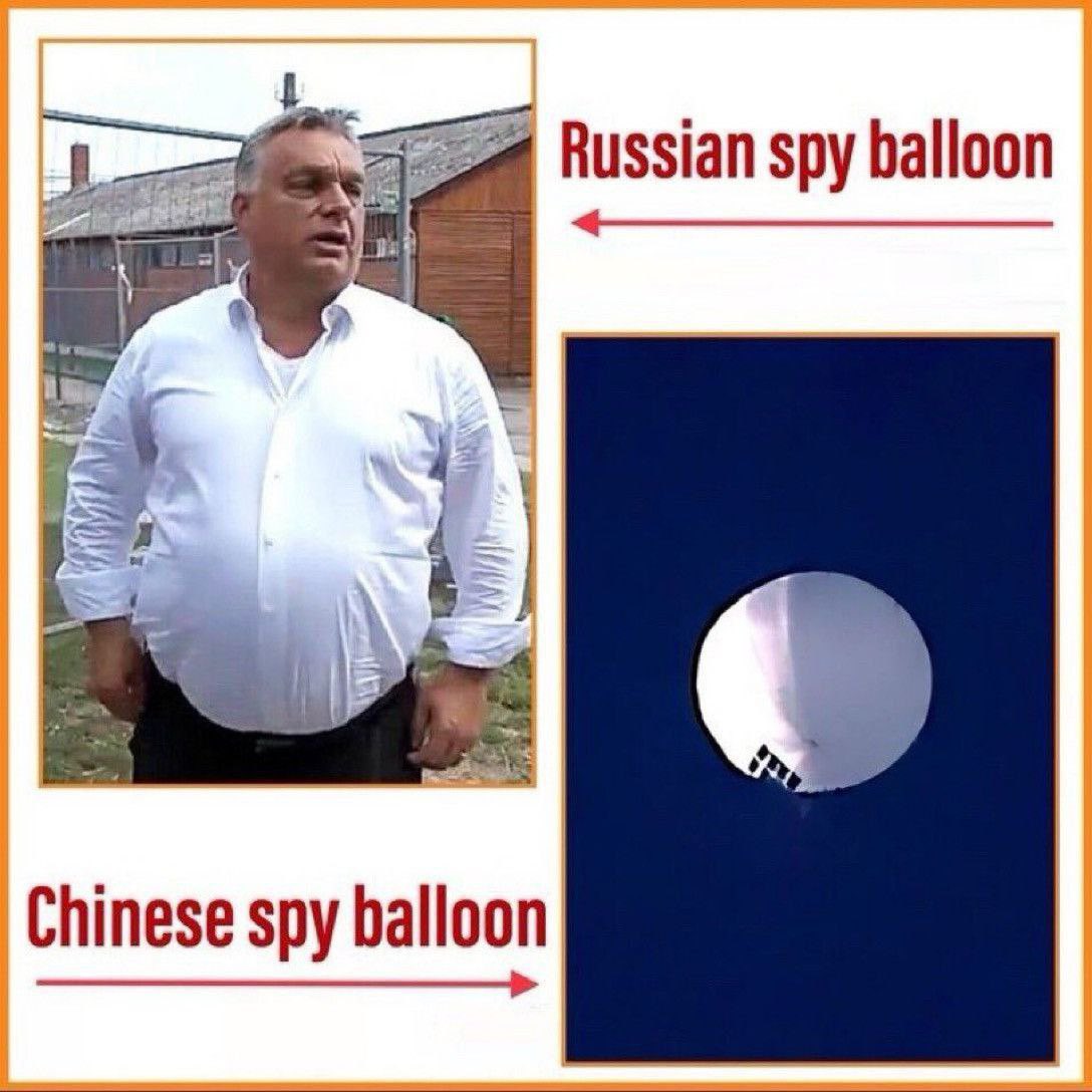 HotSotin 🇫🇮🇺🇦🇪🇺△ NAFO (@hotsotin) on Twitter photo 