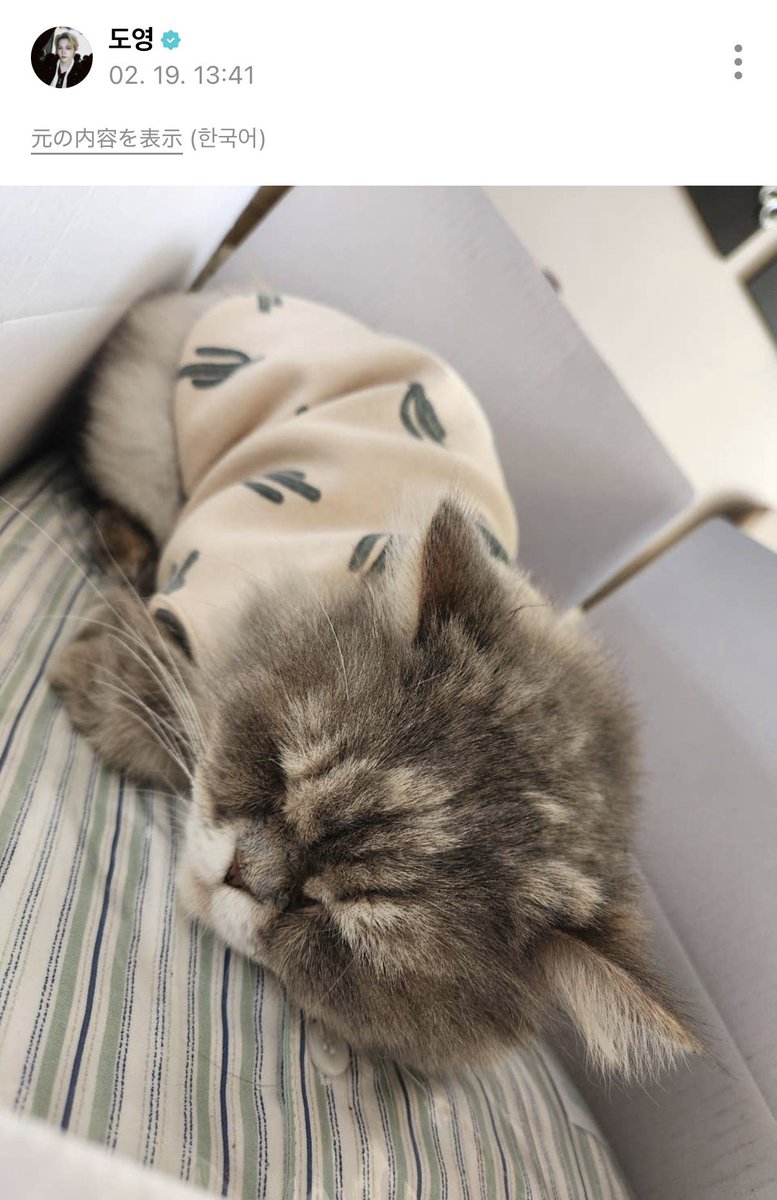 𝒅𝒐𝒅𝒐🍡 (@treasure_dodo) / Posts / X