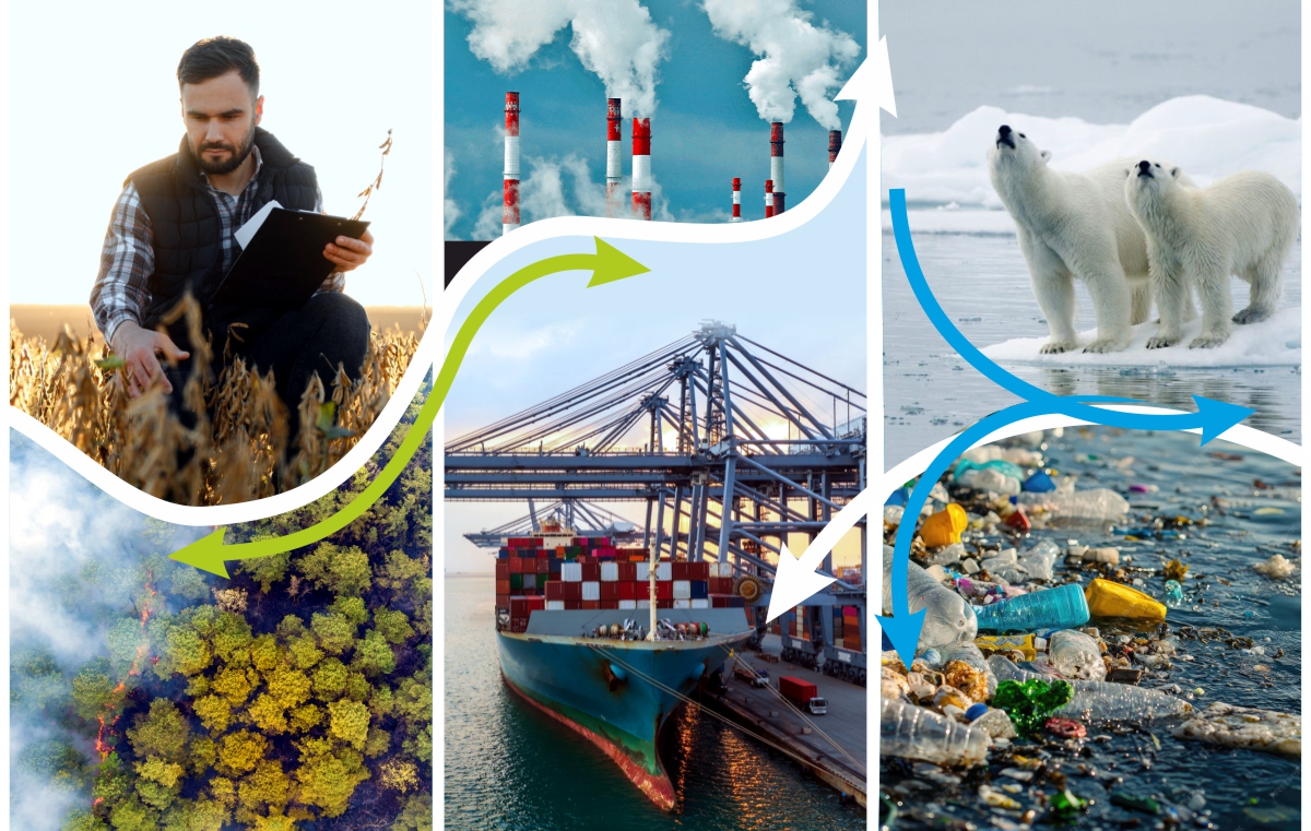 RefreSCAR tweet media