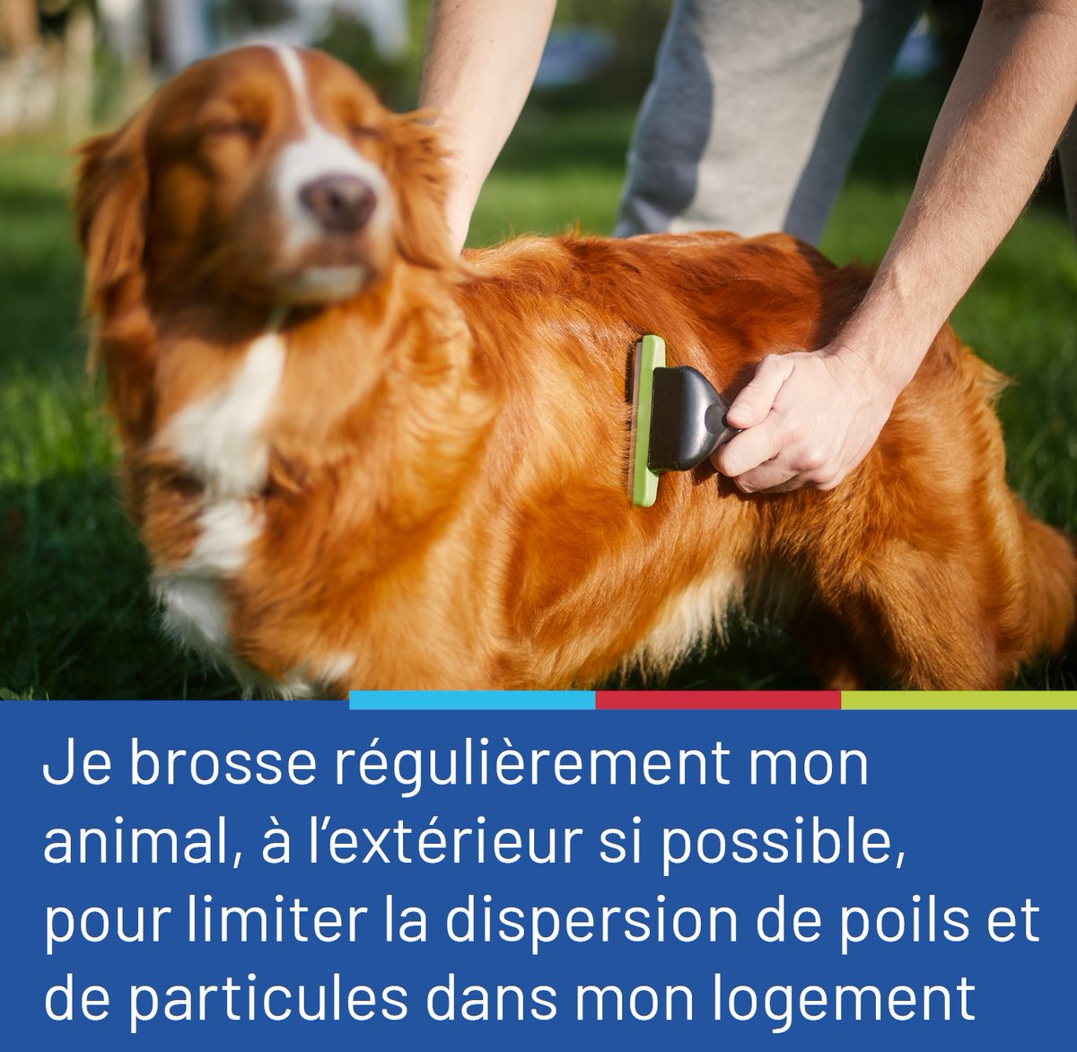 Atmo BFC tweet media