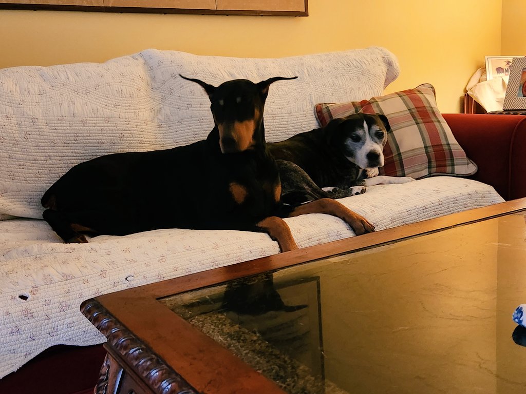 HEMI-Momma tweet media