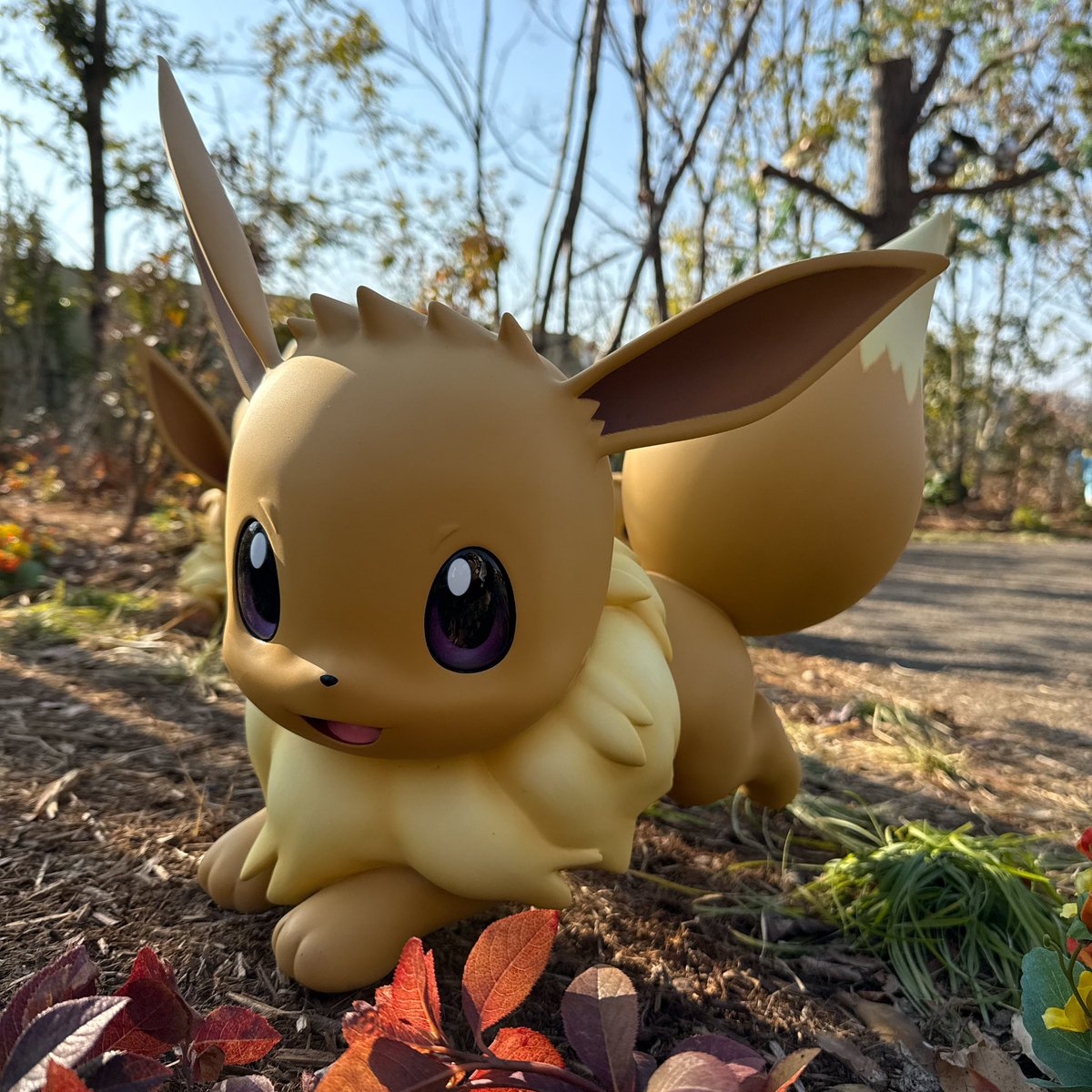 ポケモンフォレストのイーブイ③