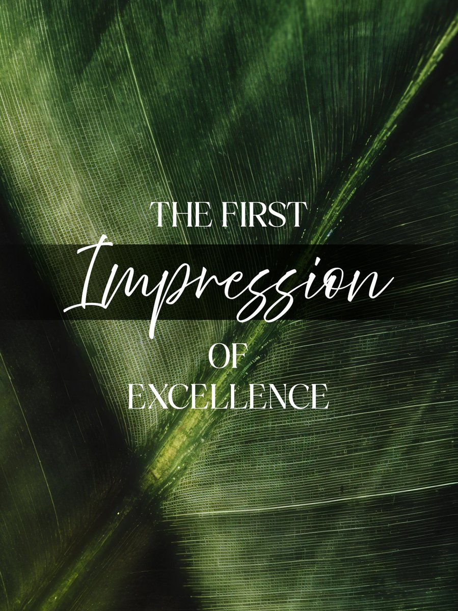 The First Impression Isn’t Seen. It’s Felt. 

Inspired by nature’s quiet elegance, every detail reflects balance, refinement, and thoughtful design. A vision where sophistication grows organically and excellence becomes the foundation of everyday living.
#ekanam #greatvaluerealty
