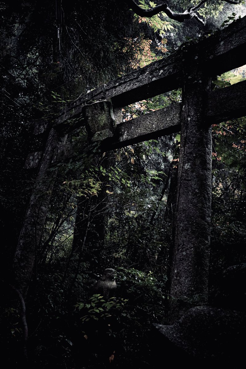 しどろ tweet media