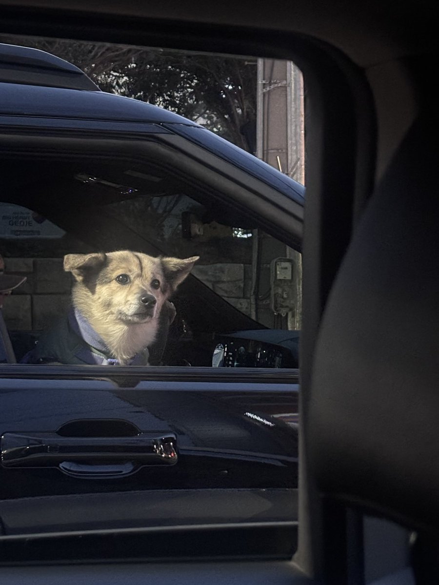 cookieeee32's tweet image. 너무 예쁜 강아 자만추함 ㅠ
근데 저는 고양이 키워서 잘모르는데
모르는 사람이 강아지 사진 찍으면 기분 나쁘신가요,,