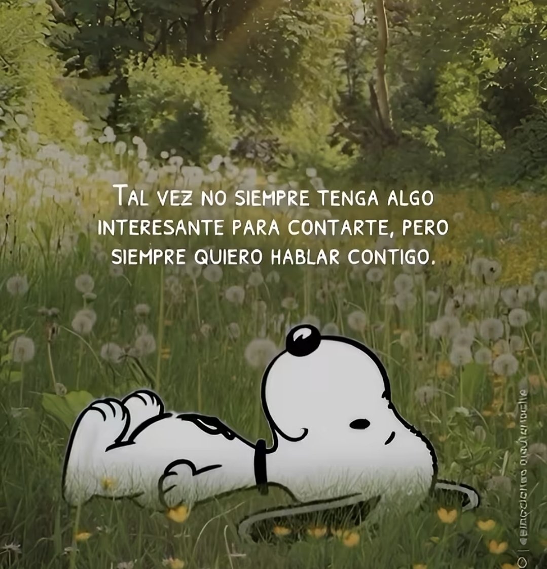YovyML's tweet photo. #siempre 🤍💚 https://t.co/WxDMqso9GR