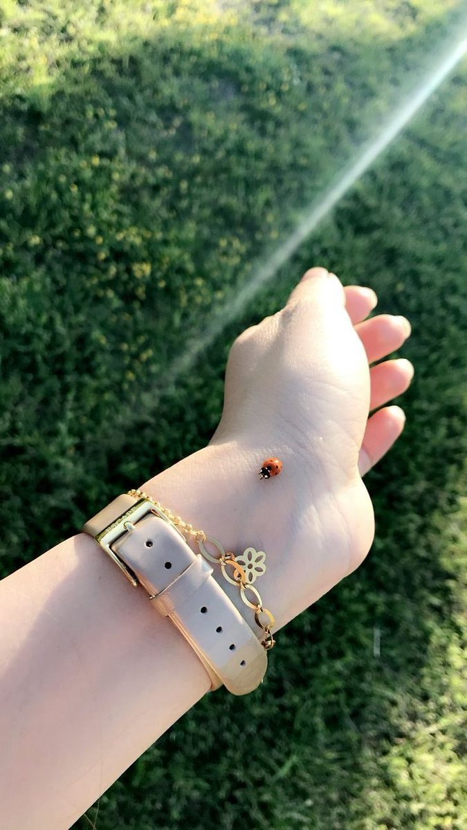 GOOD AFTERNOON 

X STAR ✨ HAPPY DAY 💖