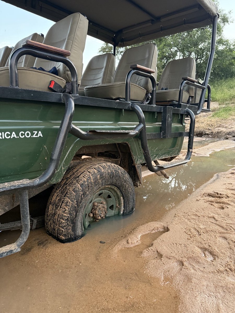 🆕#yukaonsafari 168回

寝袋がない野宿！？
サファリカーが川にスタック…！？
【サバンナスタディツアー第7弾】の
ハイライトをお届け🐾

第8弾となる次回は7/28〜8/4の開催！
お申し込み受付中🦁✨
ぜひ参考にお聴きください🎧
open.spotify.com/episode/21laMq…

#太田ゆか #サファリ #南アフリカ #動物