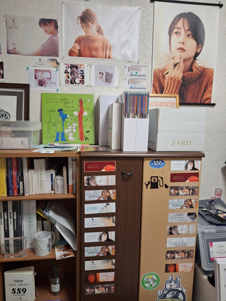 ZARDグッズ整理した🥰🎤🎶 HMVやタワーレコードなどでCD集めていきます😊