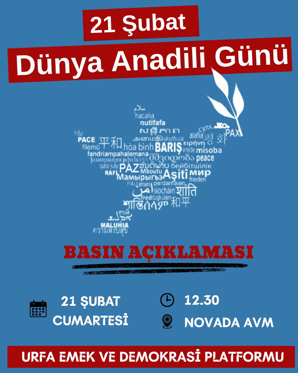 UrfaBarosu's tweet photo. https://t.co/FuaaHxF7Gy