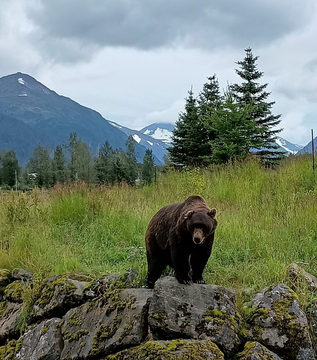 BuffaloRon's tweet image. We need more photography on X  If you agree, post a picture