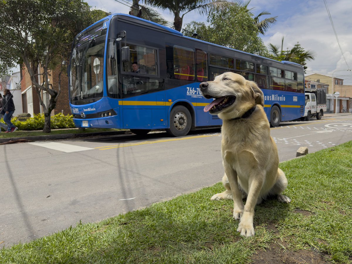 TransMilenio tweet media