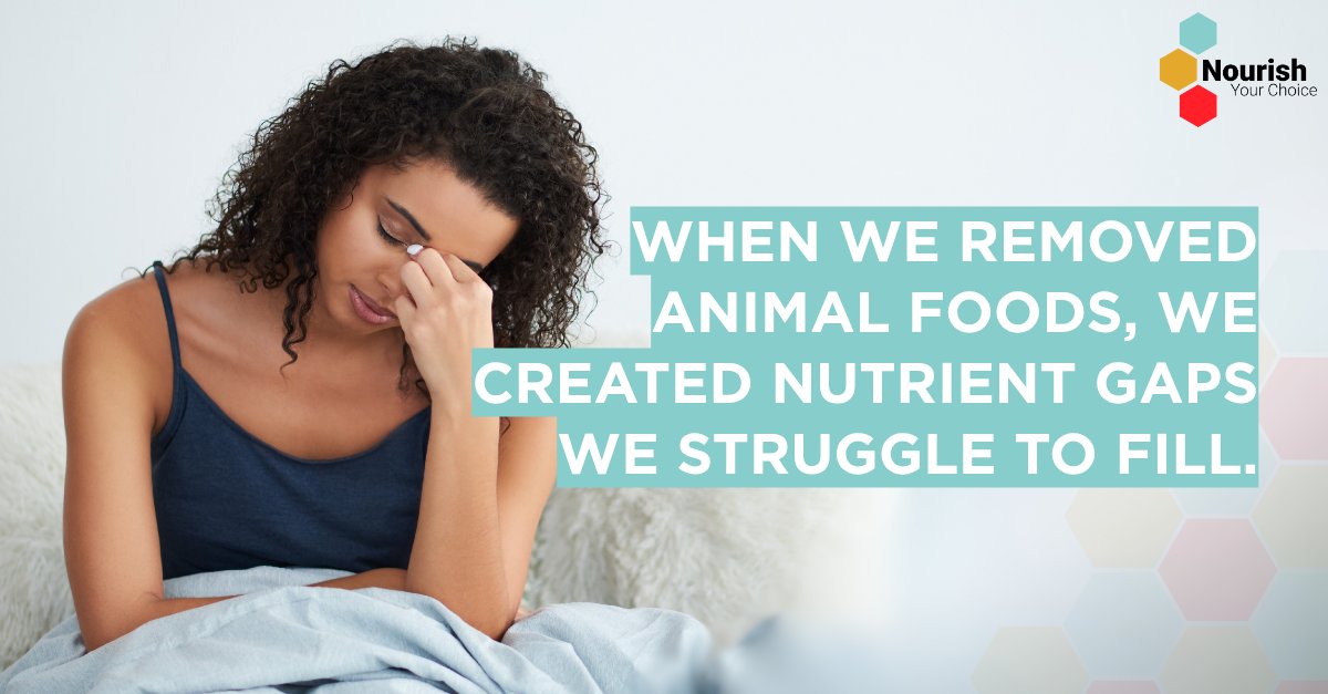 Nourish_Choice's tweet image. Animal foods supply nutrients like B12, iron, and high-quality protein that are hard to replace. Removing them creates lasting deficiencies.
Learn more at nourish-yourchoice.org
#NourishYourChoice #NutrientDensity #HumanHealth