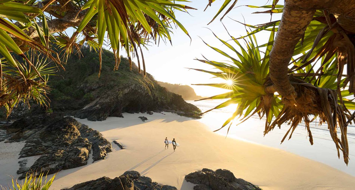 Аnja Dragovic ⚡ tweet media