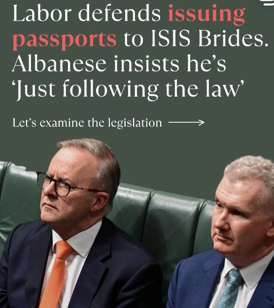 Rosita Díaz tweet media