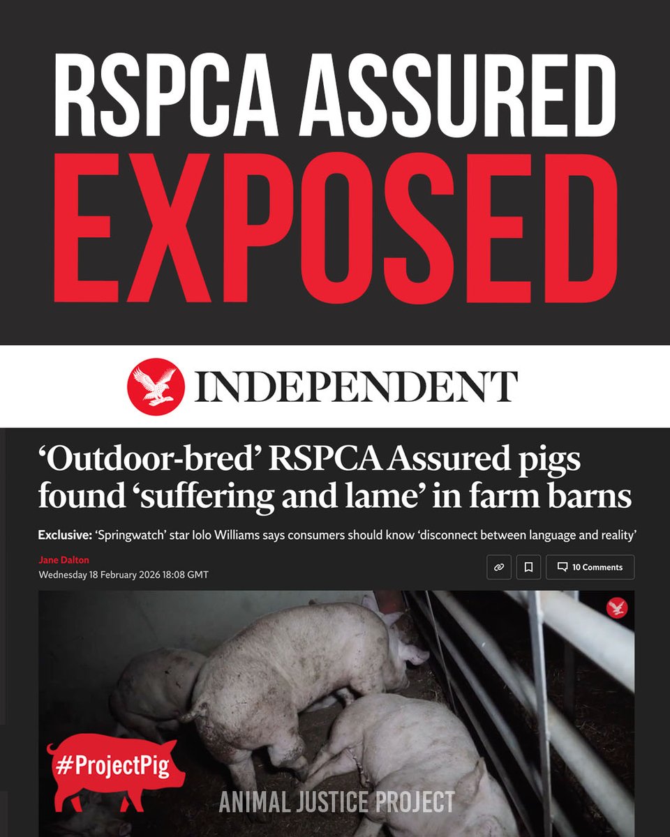 🚨The Independent has exposed the truth about RSPCA Assured, uncovered in our latest investigation.

Our investigation reveals pigs labelled “outdoor bred” spend up to 80% of their lives indoors. 

Dr Alice Brough BVM&amp;S MRCVS, pig veterinarian, said: “These pigs show unmistakable