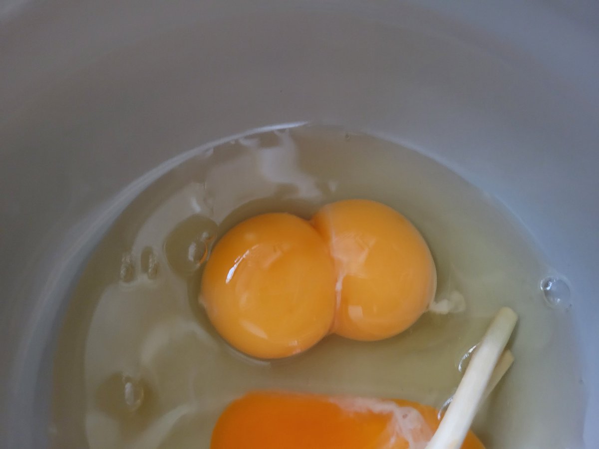 みて！！！双子入ってた！！！！！！
なんかいいことありそう！！！！🙌