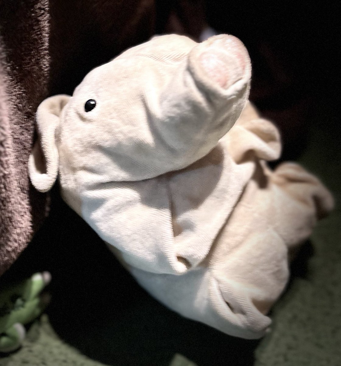 butadokoniiru's tweet image. 今日(2/19)吉祥寺から西荻窪あたりで、ブタのぬいぐるみを見た方はいらっしゃいませんか？(ロッタちゃんのバムセのぬいぐるみです)
こどもの大事にしていたぬいぐるみなのですが、寝てる間に自転車から落ちてしまったようで。。何かご存知の方いらっしゃいましたら、ご連絡くださいませ