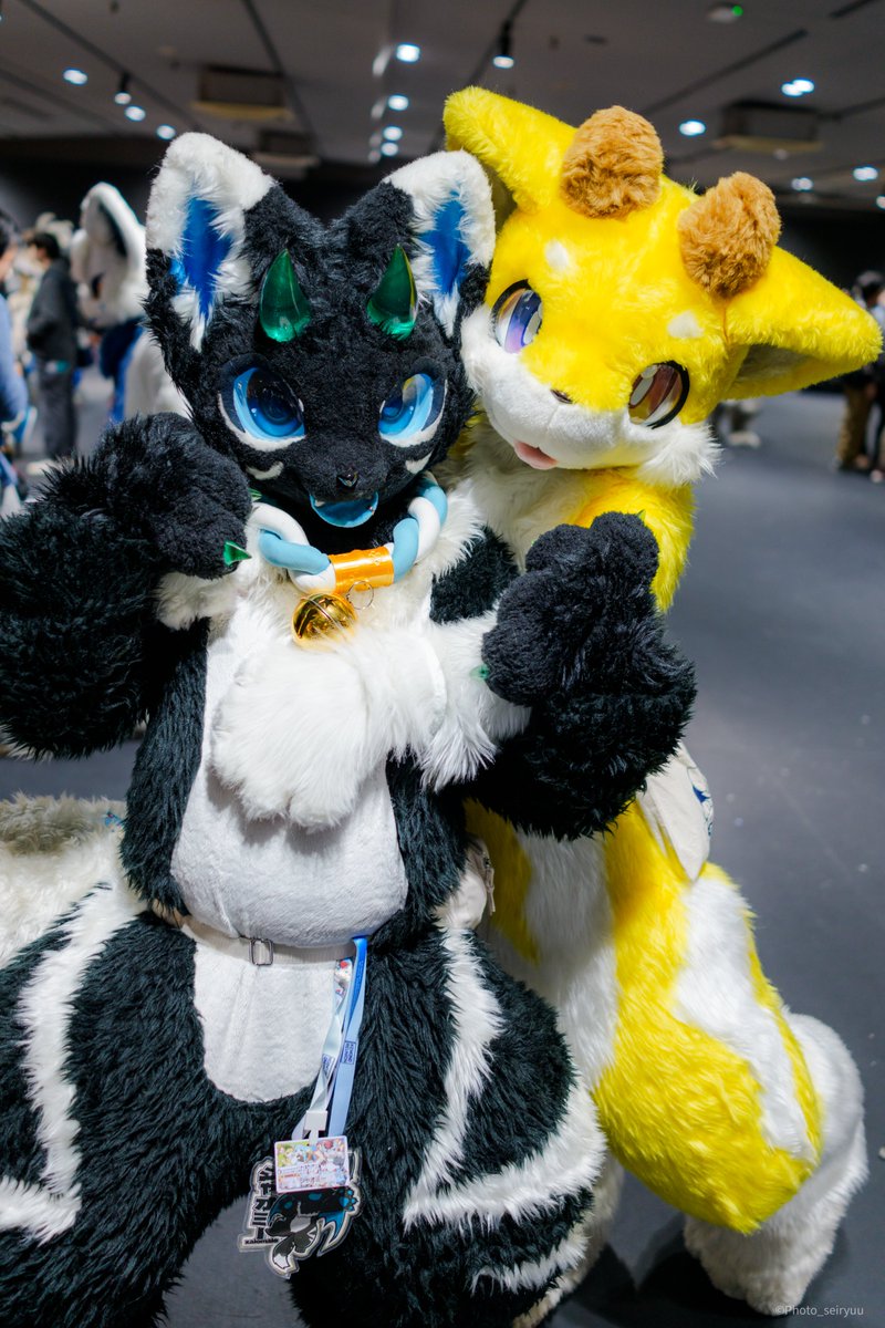 かめかめページ かめかめ (@kamekame_kemo) / Posts / X