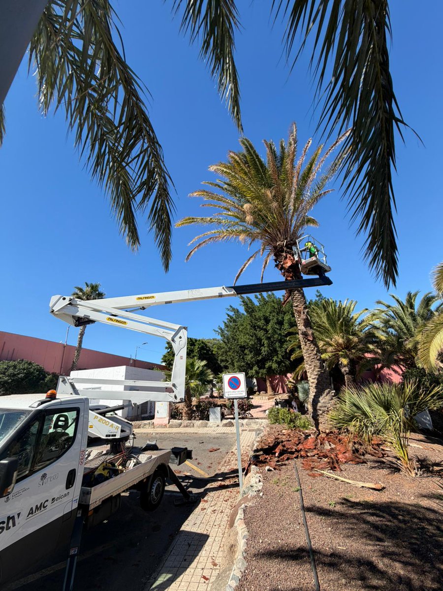 STV Gestión tweet media