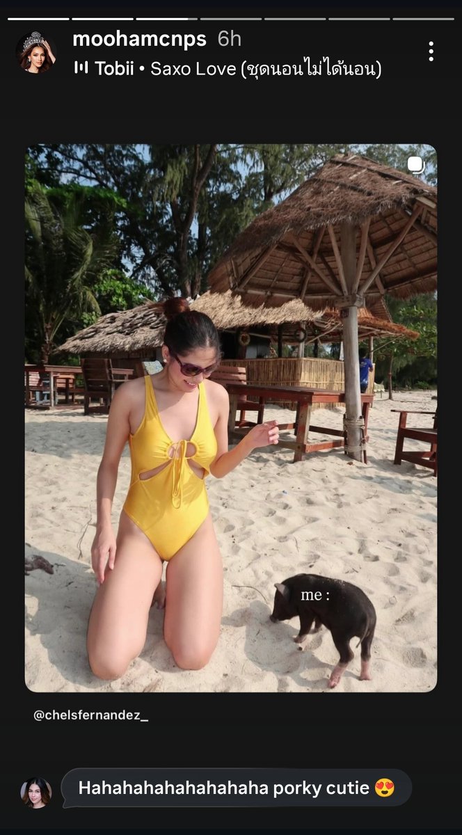 cha3xbelita's tweet photo. Ang tagal ko iniisip bakit nag lagay ng "Me" sa baboy si mommy shark dun sa photo ni daddy shark. Yung bigla ko nalang na realize ang nickname nya na "Mooham" is translated in Thai as Pig or Pork. ๐ท
#ChelseaFernandez
#Mooham
#MooChe
#CHELdren
#SharkFamily
#PinaThai๐ต๐ญ๐น๐ญ https://t.co/09SIOefLEi