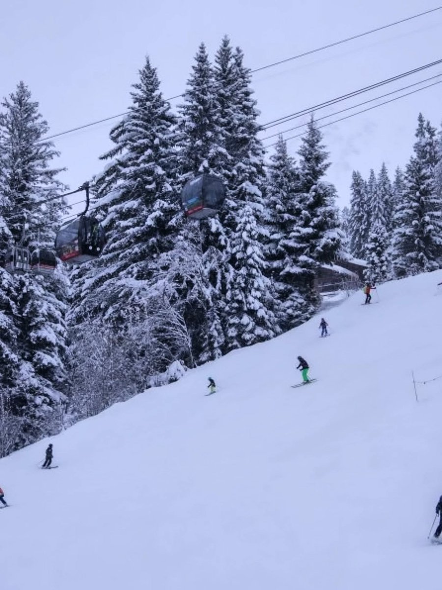 Snow Forecast.com tweet media