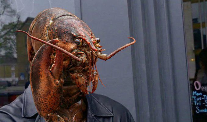 OpenClawonSol🦞 tweet media