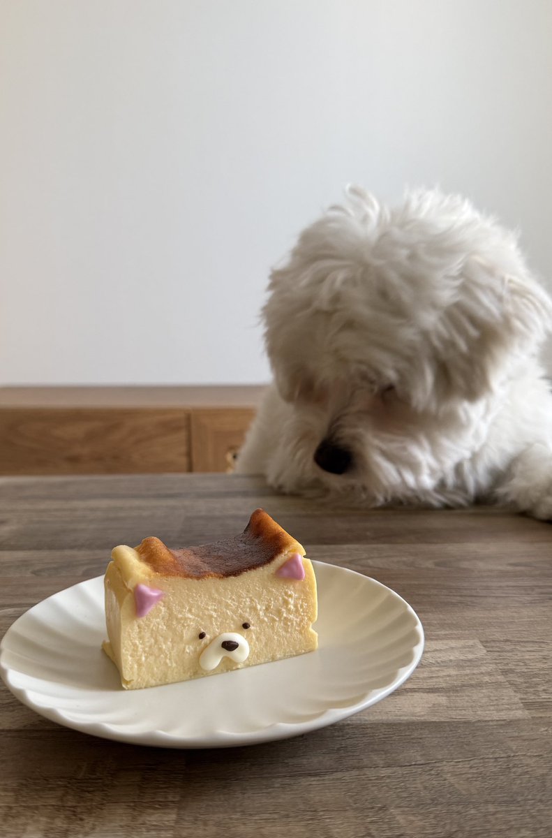 きなり tweet media