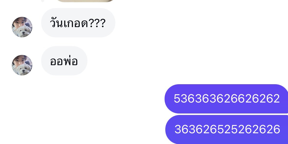 <a href="/hallom3q/">mé</a> ?