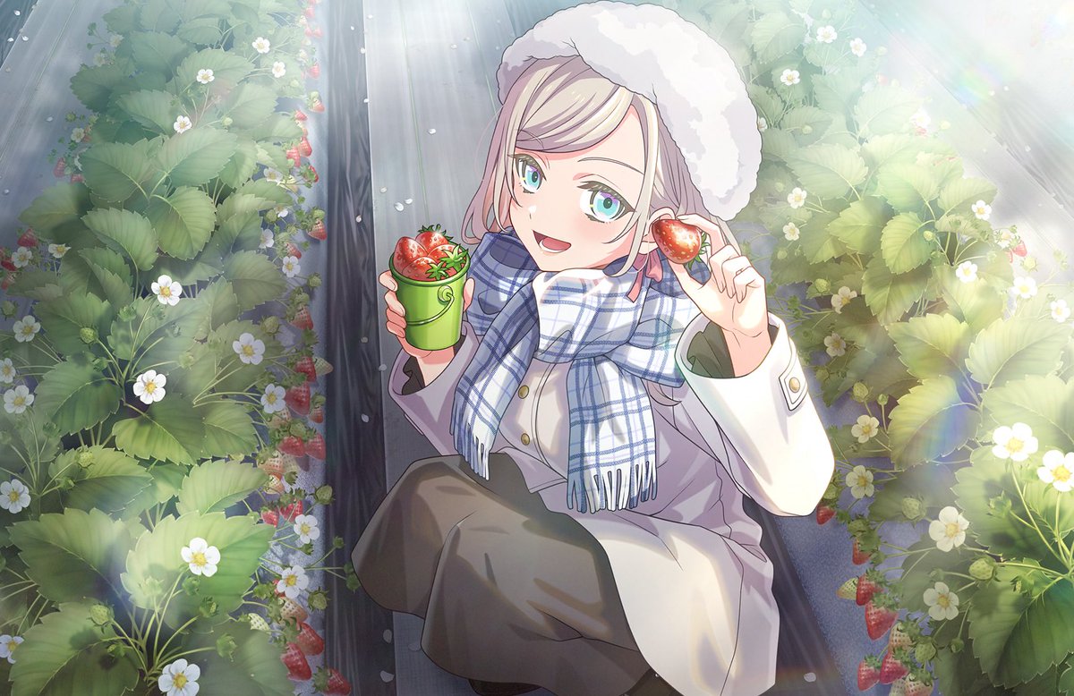 Link! Like!] 🆕 SR Ceras Yanagida Lilienfeld 「Ichigo 123」(Live