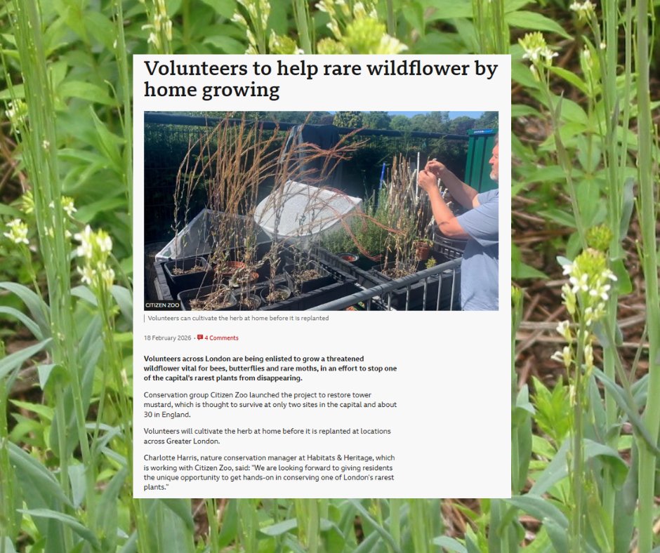 Citizen Zoo tweet media