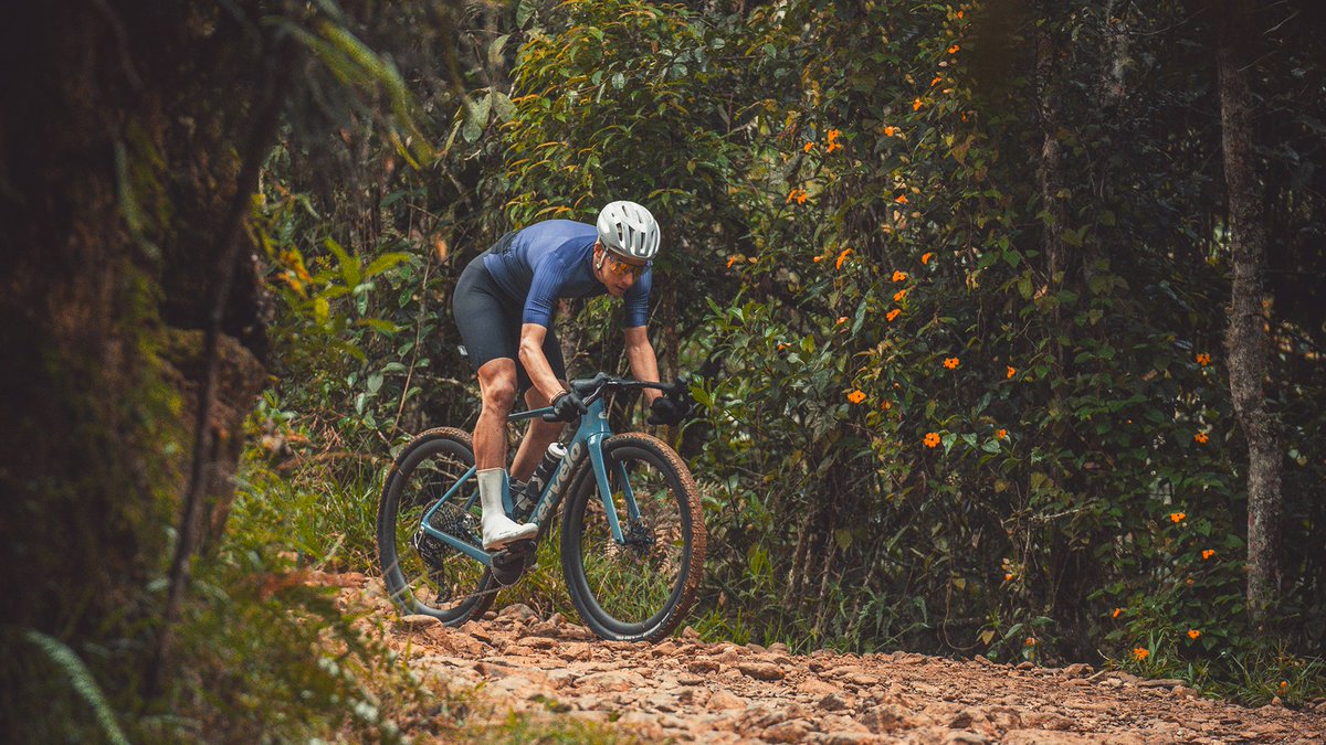 LOOK Cycle tweet media