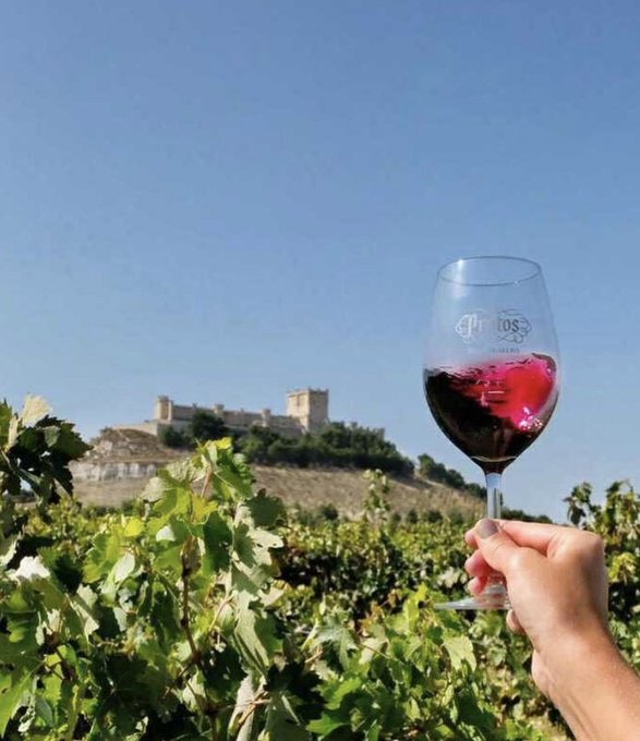 En una zona de cultivo ideal nacen nuestros #vinos, custodiado por el majestuoso castillo de #Peñafiel.🍷