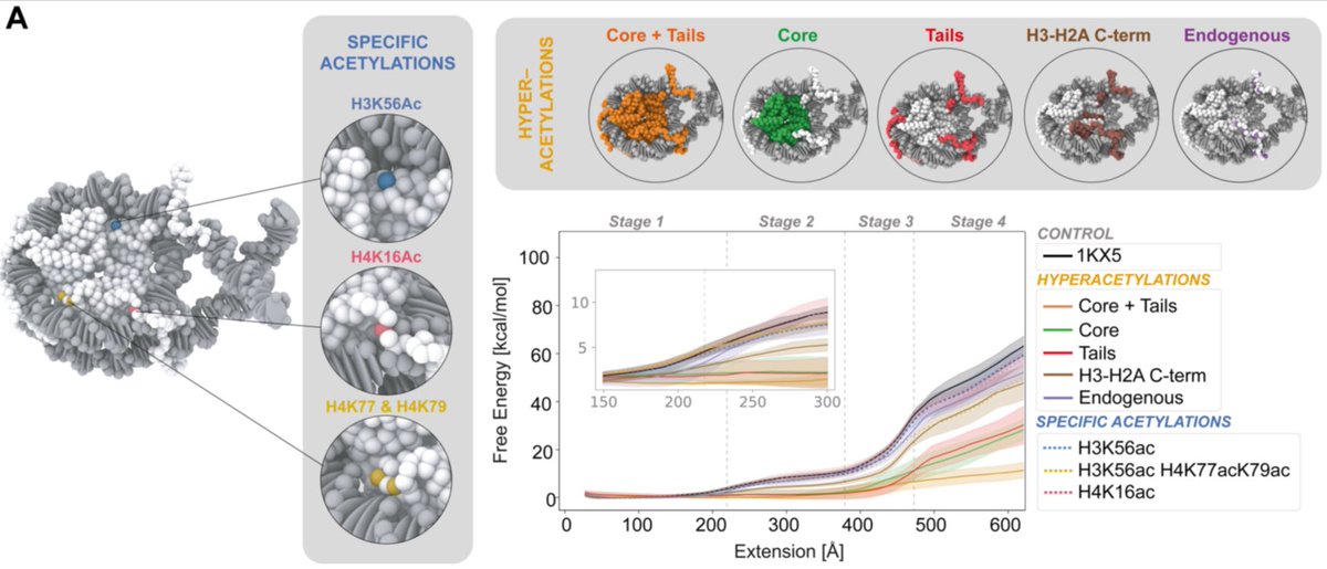 Nacho Pérez tweet media